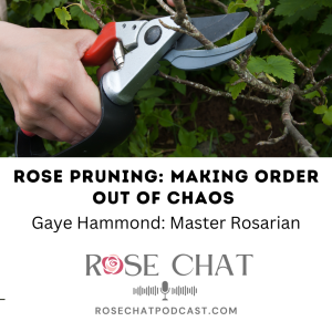 ROSE PRUNING: MAKING ORDER OUT OF CHAOS