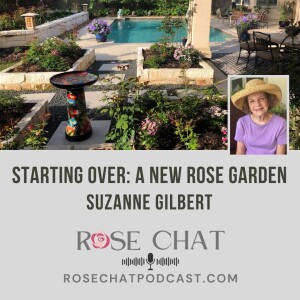 STARTING OVER: A NEW ROSE GARDEN