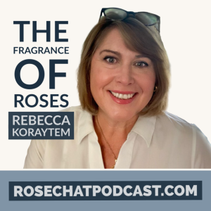 THE FRAGRANCE OF ROSES: Rebecca Koraytem