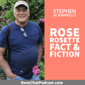 Stephen Scanniello | Rose Rosette Fact & Fiction