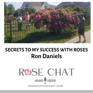 SECRETS TO MY SUCCESS WITH ROSES