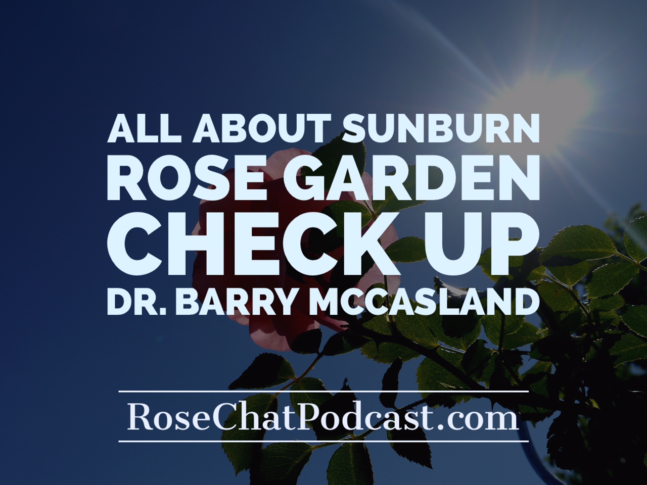 All About Sunburn | Rose Garden Check Up | Dr. Barry McCasland