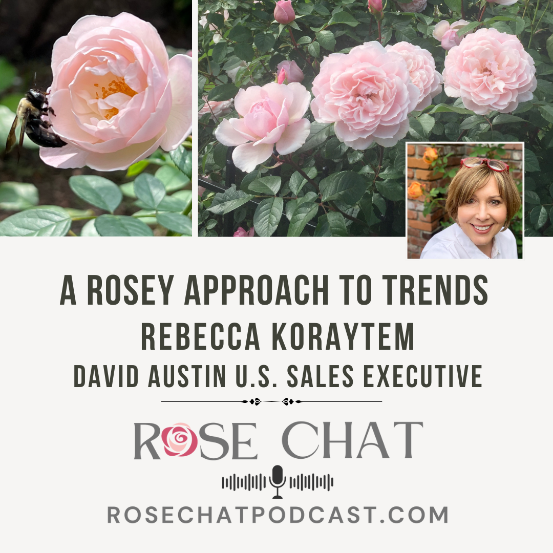 A ROSEY APPROACH TO TRENDS