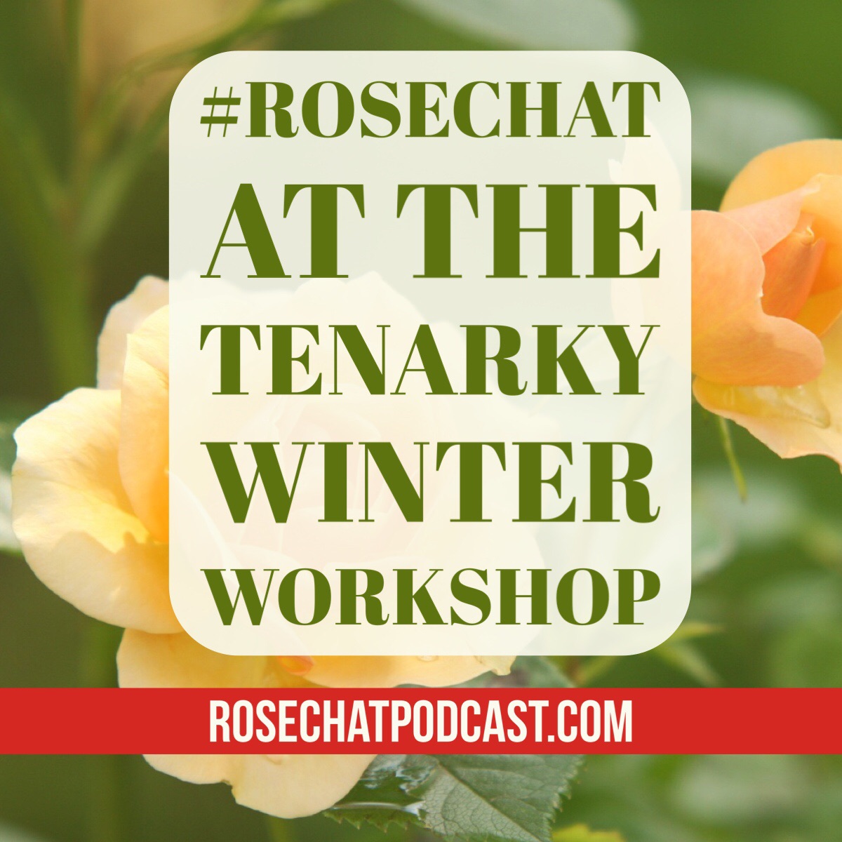 Tenarky 2016 Winter Workshop 