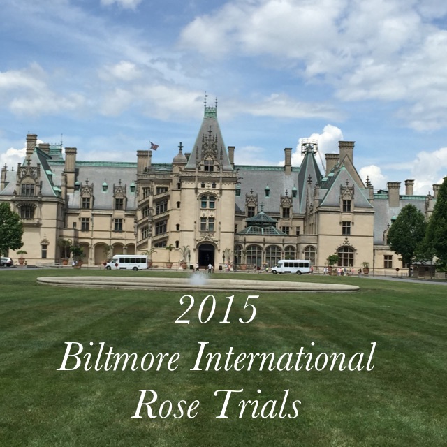 2015 Biltmore International Rose Trials
