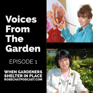 When Gardeners Shelter in Place Episode 1 | Voices From the Garden | New York & Australia