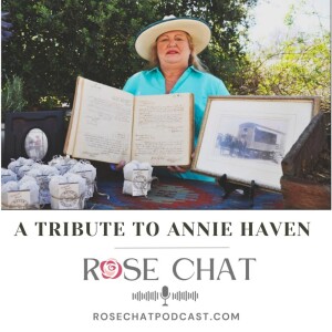 A TRIBUTE TO ANNIE HAVEN
