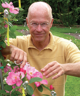A Lifetime of Roses with Will Radler - Creator of the Knock Out Rose 