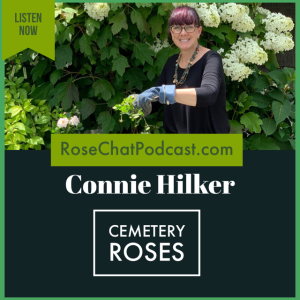 Cemetery Roses with Connie Hilker