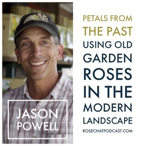 Petals From The Past | Jason Powell 
