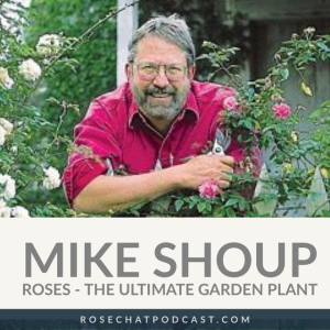 Mike Shoup | ROSES THE ULTIMATE GARDEN PLANT
