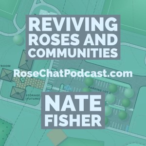 REVIVING ROSES AND COMMUNITIES
