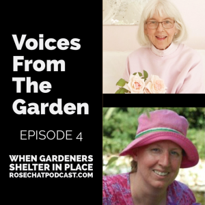 When Gardeners Shelter In Place Episode 4 | Voices From The Garden