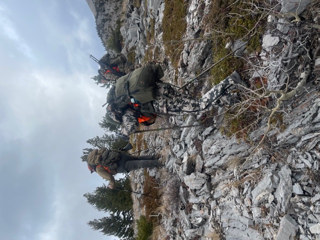 Montana Mule Deer Hunt