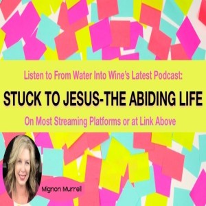 Stuck to Jesus - The Abiding Life , Pt. 2