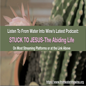 Stuck To Jesus-The Abiding Life, Pt. 1