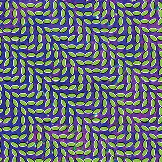 ÁLBUM DE FAMÍLIA - Animal Collective