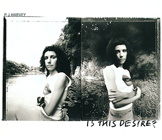ÁLBUM DE FAMÍLIA - PJ Harvey