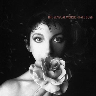ÁLBUM DE FAMÍLIA - Kate Bush
