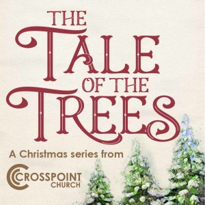 The Tale of the Trees E04: Tree of Life! | Steve Redden | Dec. 21-22, 2019