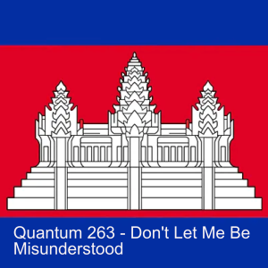 Quantum 263 - Don’t Let Me Be Misunderstood