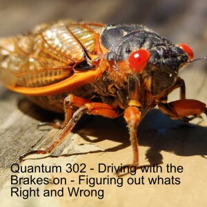 Quantum 302 - Driving with the Brakes On - Figuring out What's Right and Wrong