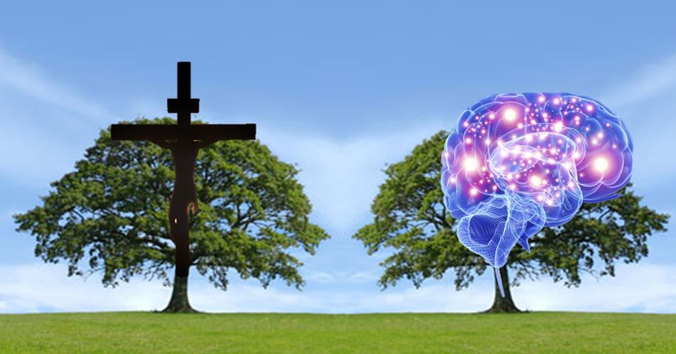 Part 3: Cleansing the Sanctuary (Matthew 24:29-36)