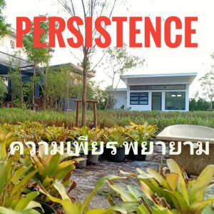 Ep.67 Persistence ความเพียร