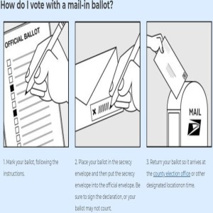 Naked Ballot