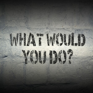 What Would You Do If?