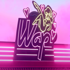 What is a WAP?