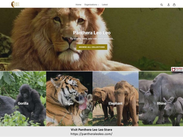 Panthera Leo Leo Store - Purchase Products and Save Animals