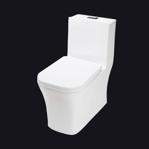 Dual Flush Toilet - Handmade Kitchen Sink - Rain Shower Head- Megabai