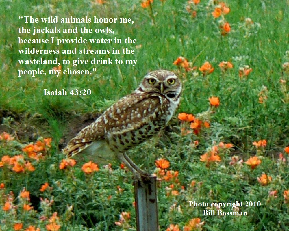 Depending upon God