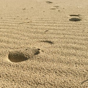Footsteps in the Sand read by Sandra Smith