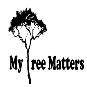 Community Element - Interview with Bryn Haworth - My Tree Matters