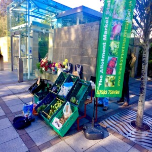 Community Element - Allotment Market Stall