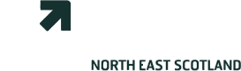 Community Element - Teen Challenge, history, purpose, Service