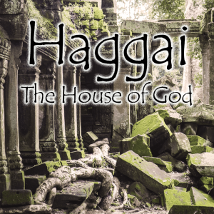 Shaken not Stirred - Dr. David Anderson [Series: Haggai- House of God]