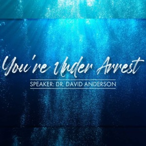 You’re Under Arrest - Dr. David Anderson