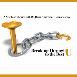 Under Cover - Dr. David Anderson [Series: Breaking Through to the Best U]