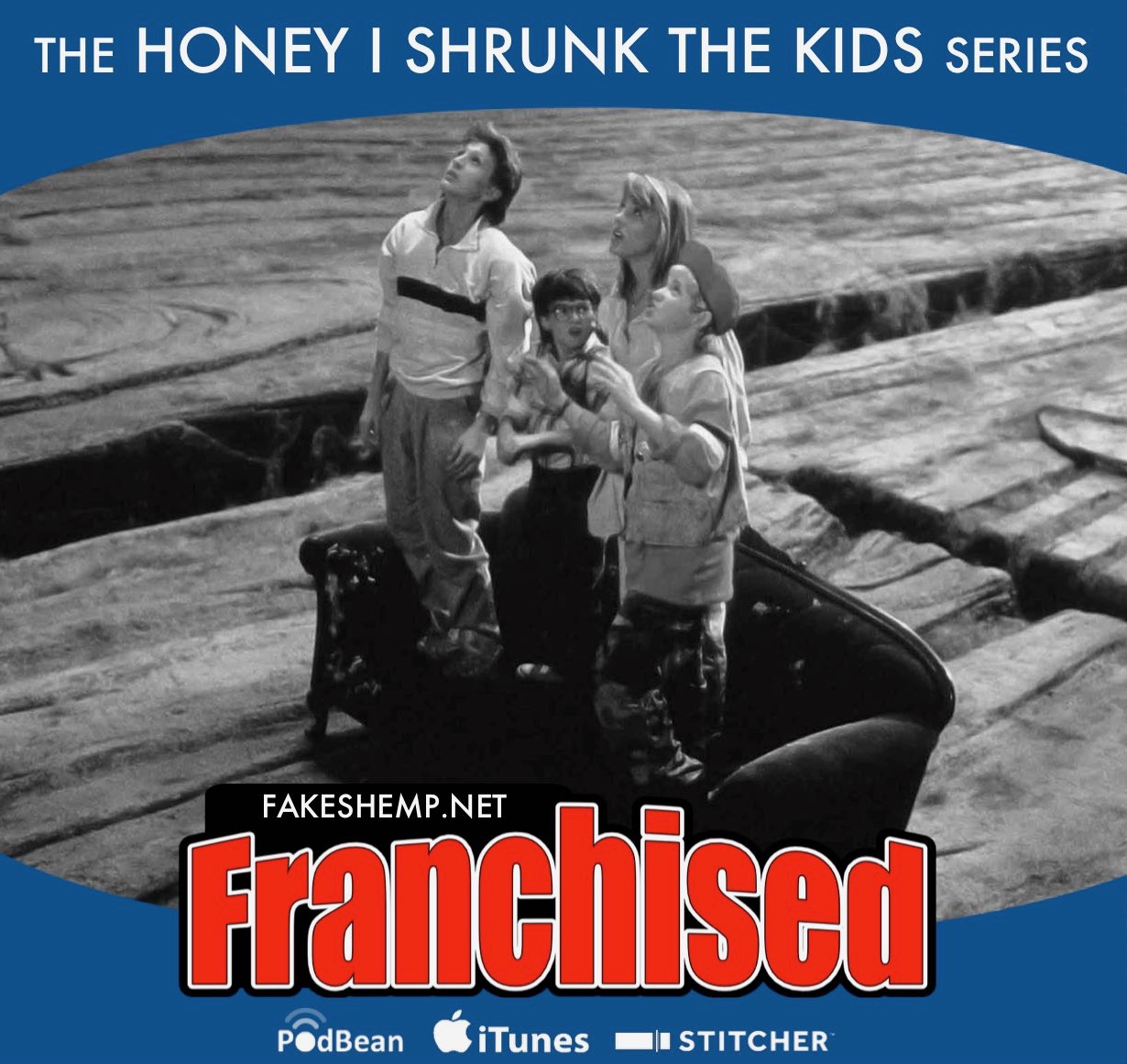 FRANCHISED: HONEY I SHRUNK THE KIDS