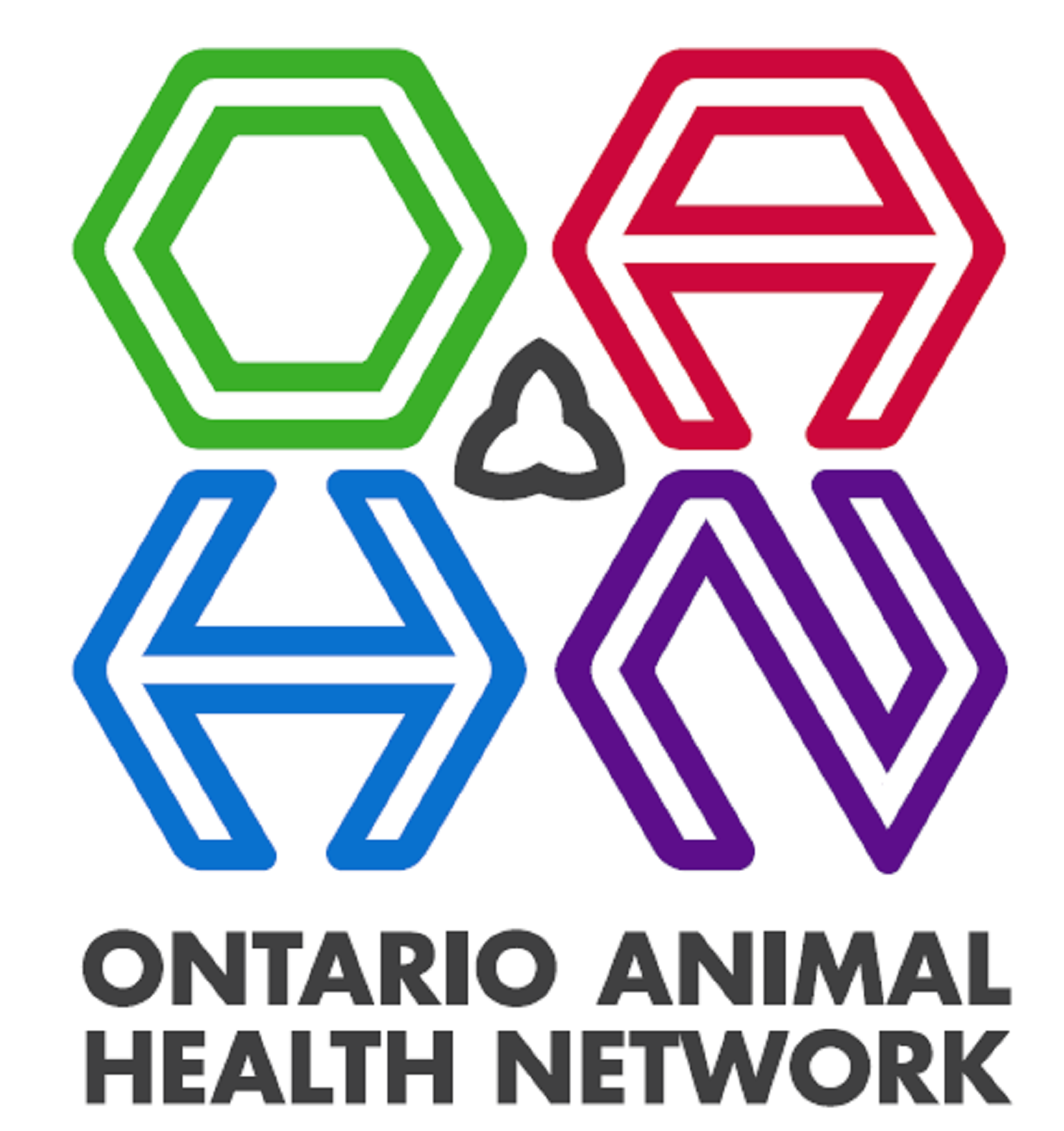 Ontario Rabies Update with Dr. Maureen Anderson