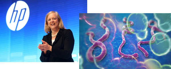 004: HP Cleavage and an Ebola Pandemic