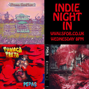 Indie Night In - 13/3/2019