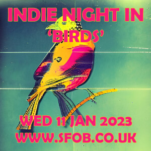 Indie Night In Does ’Birds’ 11/1/2023