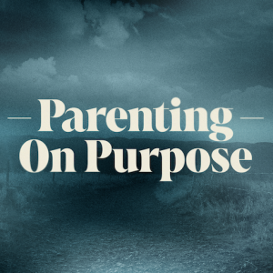 A Father's Example - Parenting On Purpose (Father's Day) - Andy McGowan and Fathers Panel (6-16-24)