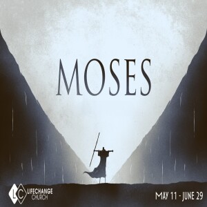 Moses: Hit and Run (Murder and Flee) Week 2