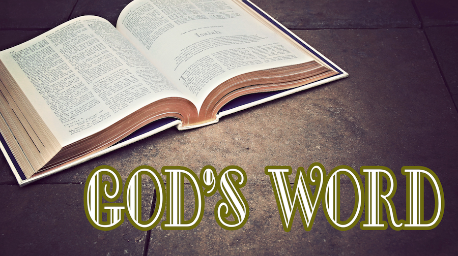 God's Word // Pastor Hank Steede