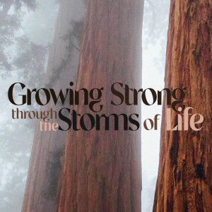 Growing Strong // Week 2 // 4-18-21 // Pastor Tim Haugen